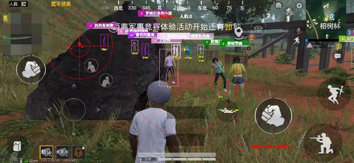 和平精英辅助【飞鸟】